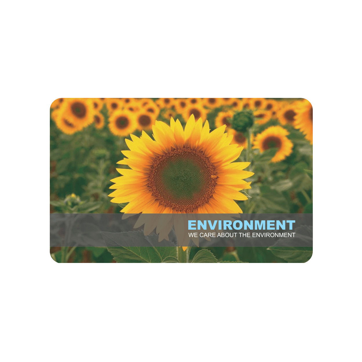 Environment Recycled PVC Card