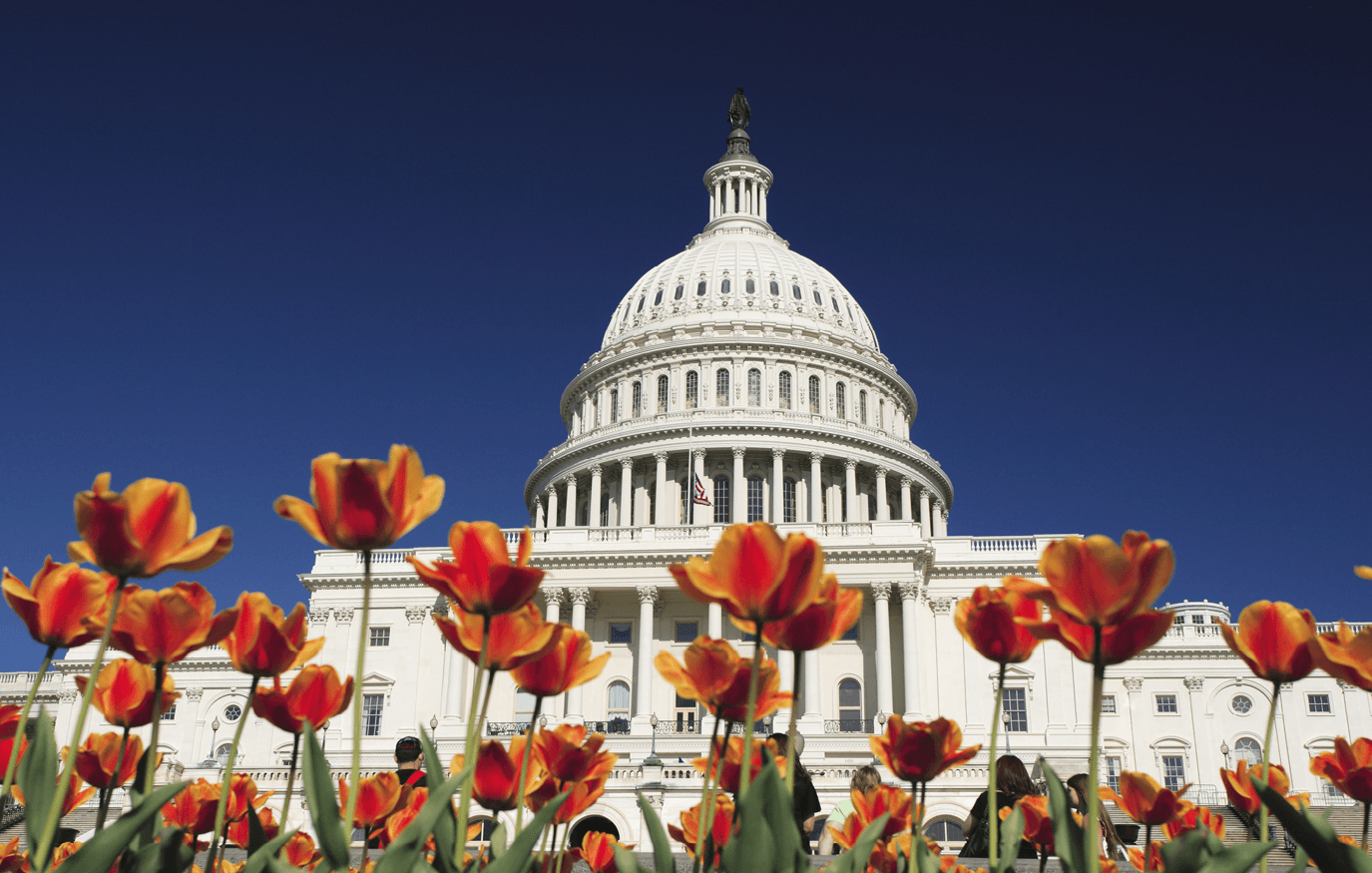 Home - Bristol ID Technologies 13 Government 275x175